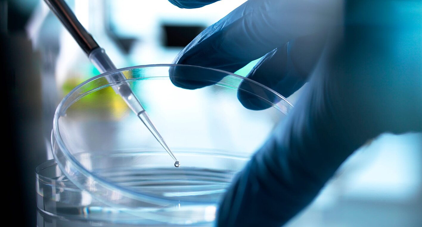 Each year, MSD conducts approximately 50 studies at about 80 centers, making it one of the most active players in Europe.