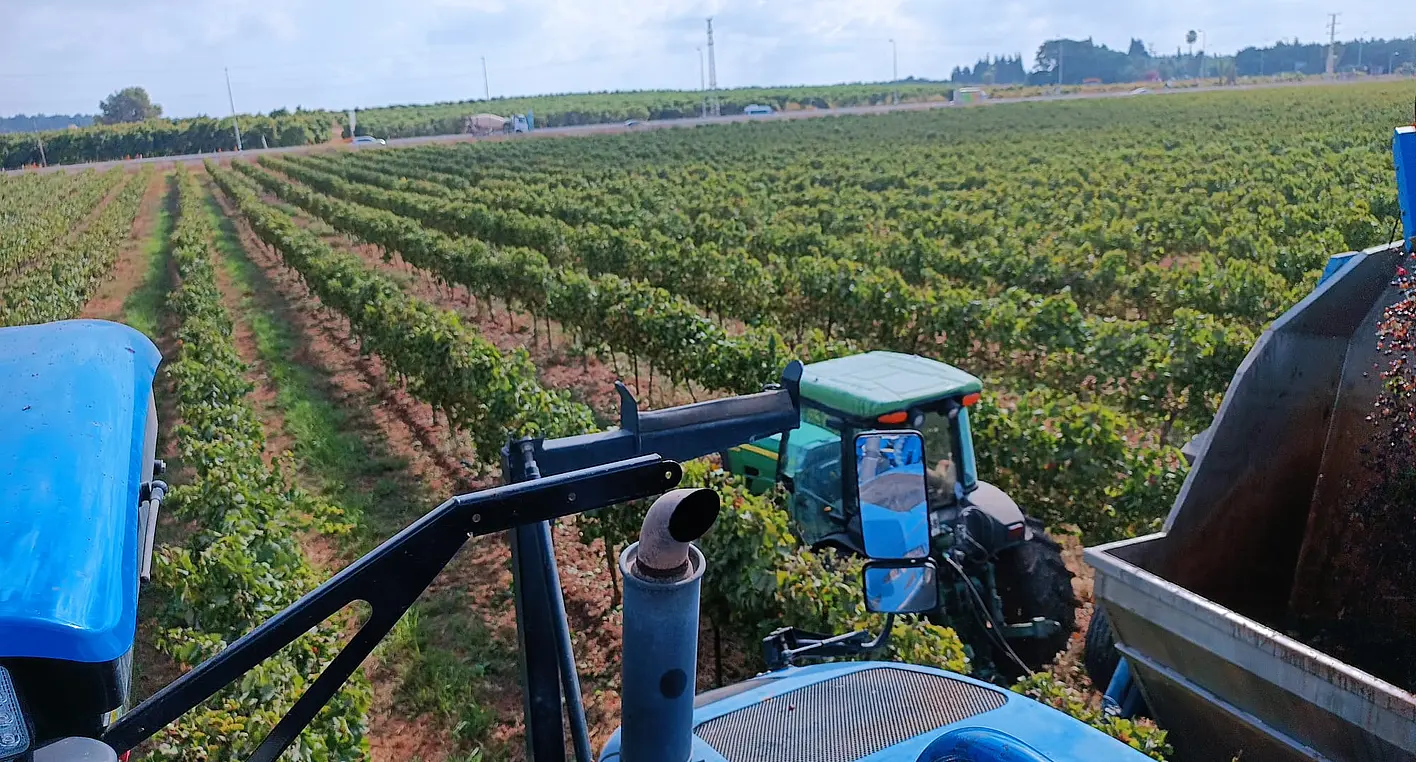 AKOLogic, Agri-Food-Tech, künstliche Intelligenz, AI
